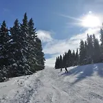 Almrausch-feriendorf Koralpe בית נופש Elsenbrunn