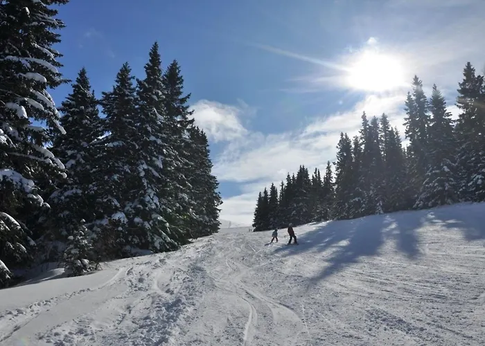 Almrausch-feriendorf Koralpe Dom wakacyjny Elsenbrunn