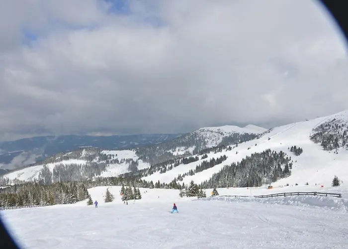 Almrausch-feriendorf Koralpe * Elsenbrunn